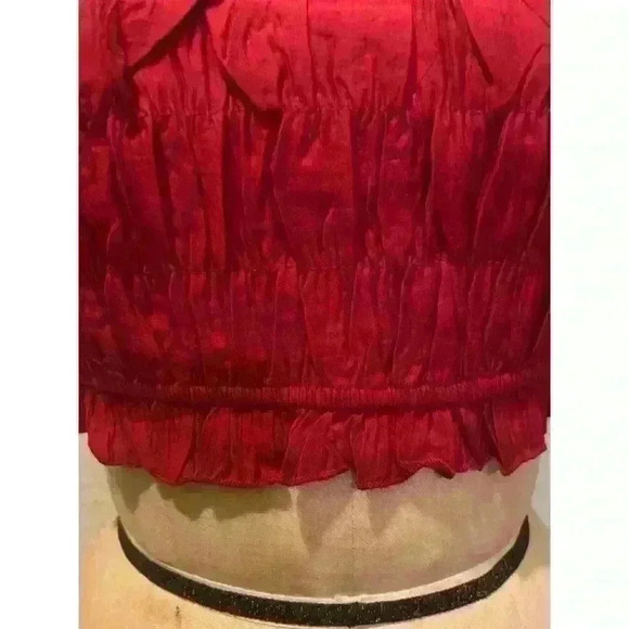 Dark Red Square Neck Ruffled Lantern Sleeve Cropped Top NWT Size L - Picture 4 of 10